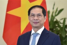 El ministro de Relaciones Exteriores, Bui Thanh Son. (Fotografía: VNA)