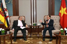 El canciller de Vietnam, Bui Thanh Son, con el segundo ministro de Asuntos Exteriores de Brunéi, Dato Pehin Erywan Yusof. (Fotografía: VNA)