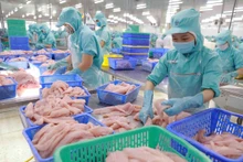 Procesamiento de filetes de pangasius para exportación. (Fotografía: VNA)