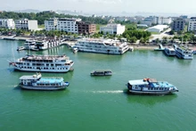 Cruceros en la bahíâ de Ha Long.