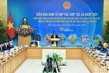 [Foto] Premier vietnamita preside Foro de Economía Colectiva y Cooperativas 2024