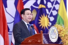 El presidente de la Asamblea Nacional de Vietnam, Vuong Dinh Hue, habla en la sesión plenaria. (Fotografía: VNA)