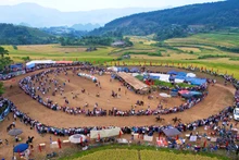 Carrera de caballos en alta colina de Ta Leng