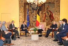 El panorama de la reunión. (Fotografía: VNA)