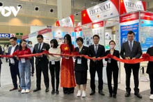 Numerosas empresas vietnamitas participan en Exposición de Tecnología en Japón. (Fotografía: VOV)