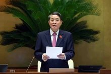 El vicepresidente de la Asamblea Nacional Nguyen Duc Hai. (Fotografía: VNA)