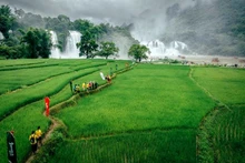 La cascada de Ban Gioc, provincia de Cao Bang.