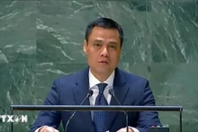 El embajador Dang Hoang Giang, jefe de la misión peramente de Vietnam en la ONU. (Fotografía: VNA)