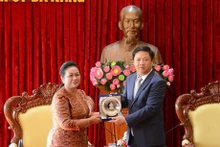 La senadora camboyana Mean Som An y el vicesecretario permanente del Comité partidista de Da Nang, Luong Nguyen Minh Triet. (Fotografía: VNA)