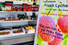 Venden en Estados Unidos lichis vietnamitas. (Fotografía: LNS)