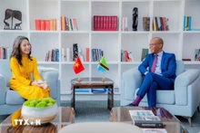 La embajadora de Vietnam en Tanzania, Vu Thanh Huyen, en una de las actividades realizadas por la Embajada de Hanói en Dodoma. (Fotografía: VNA)