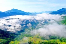 La naturaleza dota a Pu Luong de una belleza salvaje y poética.