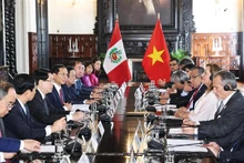 El presidente de Vietnam, Luong Cuong, sostuvo el 13 de noviembre (hora local) conversaciones con su homóloga anfitriona, Dina Ercilia Boluarte Zegarra (Fuente: VNA)