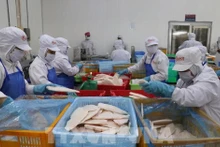 En la fábrica de procesamiento de pescado de la empresa GODACO. Foto: VNA 