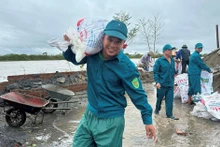 Provincia de Thai Binh repara diques y terraplenes dañados por tifón Yagi 