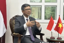 El embajador de Indonesia en Vietnam, Denny Abdi. (Foto: VNA)