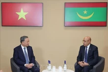 El secretario general del Partido Comunista de Vietnam y presidente de Vietnam, To Lam (en la izquierda), se reúne con el presidente de Mauritania, Mohamed Ould Ghazouani. (Fuente: VNA)