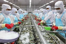 Industria camaronera de Vietnam se esmera en lograr meta de exportación para 2023