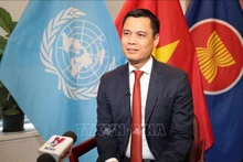 El embajador y jefe de la delegación permanente de Vietnam ante la ONU, Dang Hoang Giang. (Fuente: VNA)