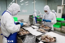 Foto de ilustración. Procesamiento de productos del mar para exportación en la compañía COFIDEC, Ciudad Ho Chi Minh. (Fuente: VNA)