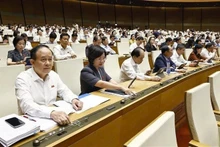 La Asamblea Nacional de Vietnam de la XV legislatura aprueba la Resolución sobre la modificación y complementación de varios artículos de la Constitución de 2013 (Fuente: VNA) 