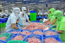 China compra gran cantidad de pescado Tra de Vietnam