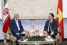 El presidente de la Asamblea Nacional, Vuong Dinh Hue, sostiene encuentro con el titular de la Asociación de Amistad Irán-Vietnam, Seyed Kamal Sayjadi. (Foto: VNA)