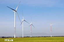 Turbinas del proyecto eólico Hanbaram en la comuna de Bac Phong (provincia de Ninh Thuan). Foto de ilustración (Fuente: VNA)