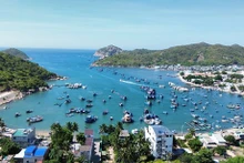 Descubra belleza de reserva de biosfera Nui Chua en Vietnam
