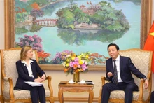 El viceprimer ministro vietnamita Tran Hong Ha y Aler Grubbs, directora de la Agencia de Estados Unidos para el Desarrollo Internacional (Usaid) en el país indochino (Fotografía: VNA)