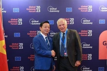 El viceprimer ministro de Vietnam, Tran Hong Ha, se reunió con el vicepresidente de la CE y alto representante de la UE para Asuntos Exteriores y Política de Seguridad, Josep Borrell. (Fuente: VNA)