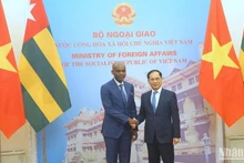 El viceprimer ministro y canciller de Vietnam, Bui Thanh Son, sostiene conversaciones en Hanói con el ministro de Asuntos Exteriores, Integración Regional y Togoleses en el Exterior de Togo, Robert Dussey (Fuente: VNA)