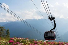 Fansipan, fascinante destino para observar las azaleas desde el punto más alto de Vietnam.