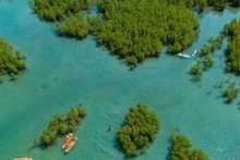El área de Dam Bay. (Fuente: VNA)