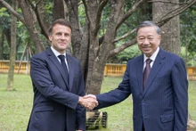 [Foto] Máximo líder partidista de Vietnam y presidente de Francia visitan Zona de Reliquias del Presidente Ho Chi Minh