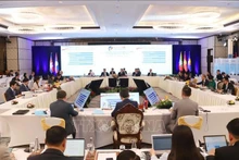 Panorama de la cita. (Foto: VNA)