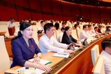 Vietnam aprueba extender visas electrónicas a 90 días (Fuente:VNA)