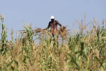 Liberar las potencialidades de África