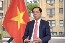 El viceprimer ministro y canciller de Vietnam, Bui Thanh Son. (Fuente: VNA)