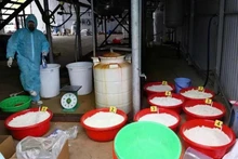 Dentro del establecimiento de producción de drogas (Foto: VNA)