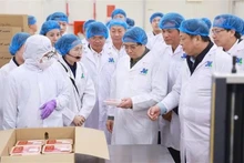 El primer ministro Pham Minh Chinh visita la planta de procesamiento de carne de res Tam Dao (Foto: VNA) 