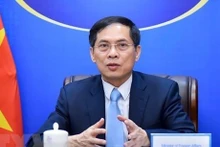El canciller vietnamita Bui Thanh Son (Fuente: VNA)