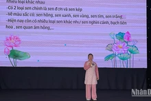Estudiantes vietnamitas difunden la cultura nacional