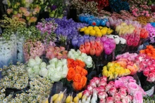 Bullicioso mercado de flores de Hanói por Día Internacional de la Mujer