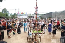 Festival del Arroz Nuevo del pueblo Sedang en Dak Lak