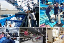 Vietnam trabajará por impulsar crecimiento económico en 2025