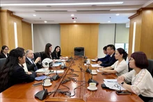 Panorama de la reunión. (Fuente: VNA)