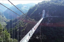 El puente de vidrio de Bach Long en el conjunto turístico Moc Chau Island, un destino favorito de los turistas (Fuente: VNA)