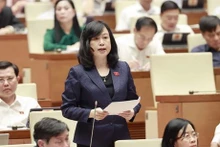 La ministra de Salud, Dao Hong Lan, en la sesión (Foto: VNA)