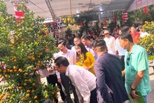 Hanói celebra Festival de flores, árboles ornamentales y productos OCOP 